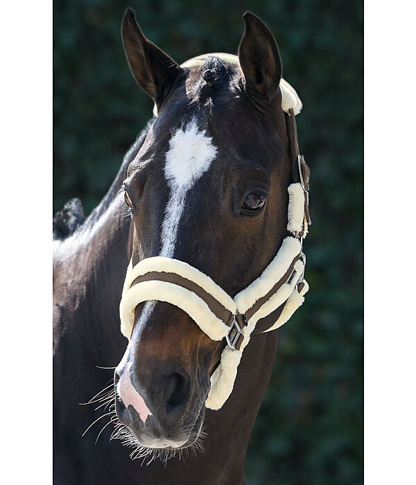 Teddyfleece Headcollar Cuddly