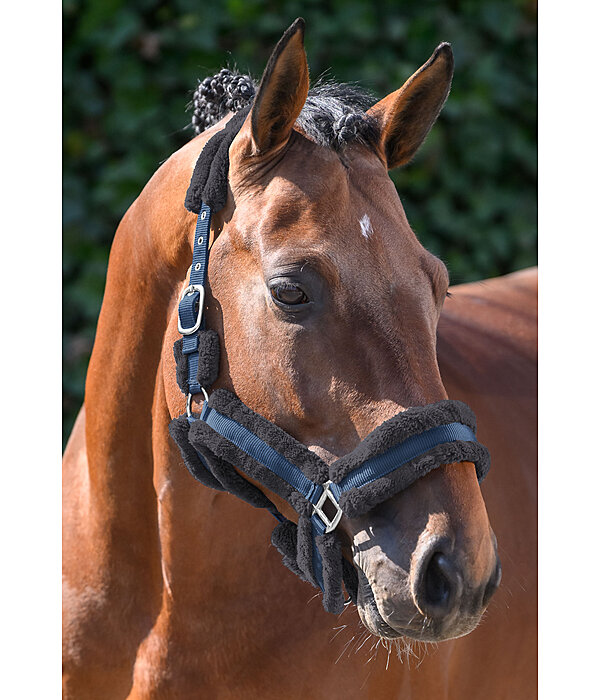 Teddyfleece Headcollar Cuddly