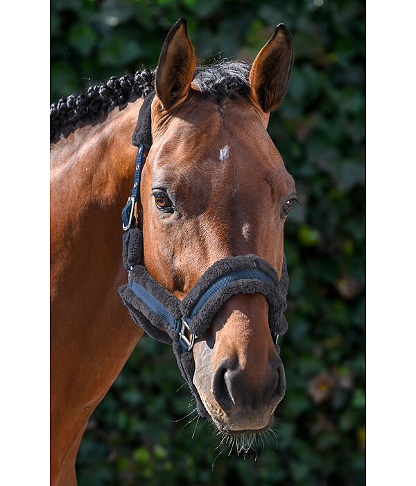 Teddyfleece Headcollar Cuddly