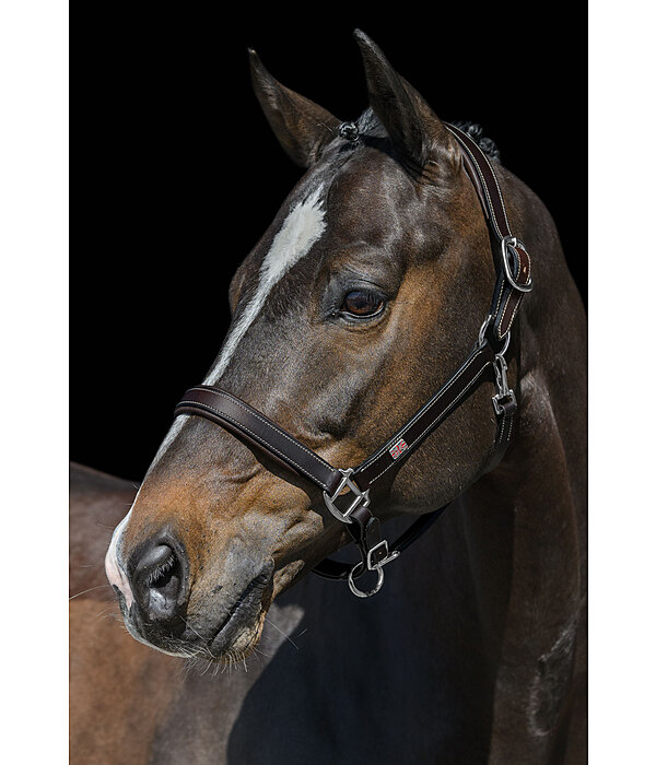 Leather Headcollar Elegant