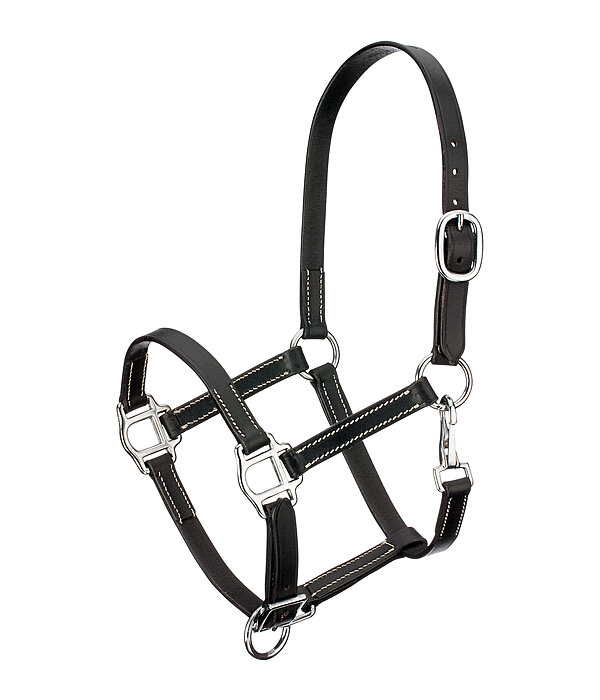 Foal Leather Headcollar Classic