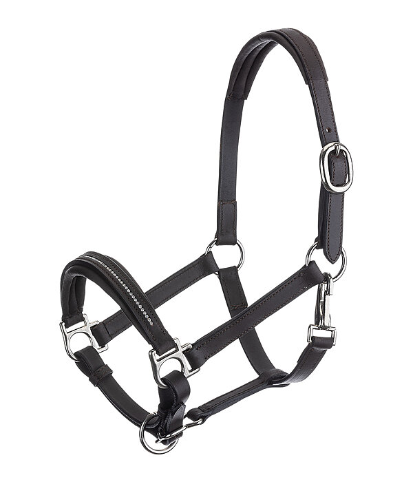 Foal and Shetland Pony Leather Headcollar Selina with Rhinestones