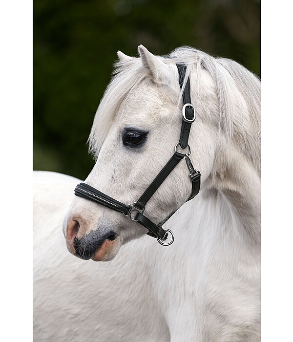 Foal and Shetland Leather Headcollar Selina with Rhinestones