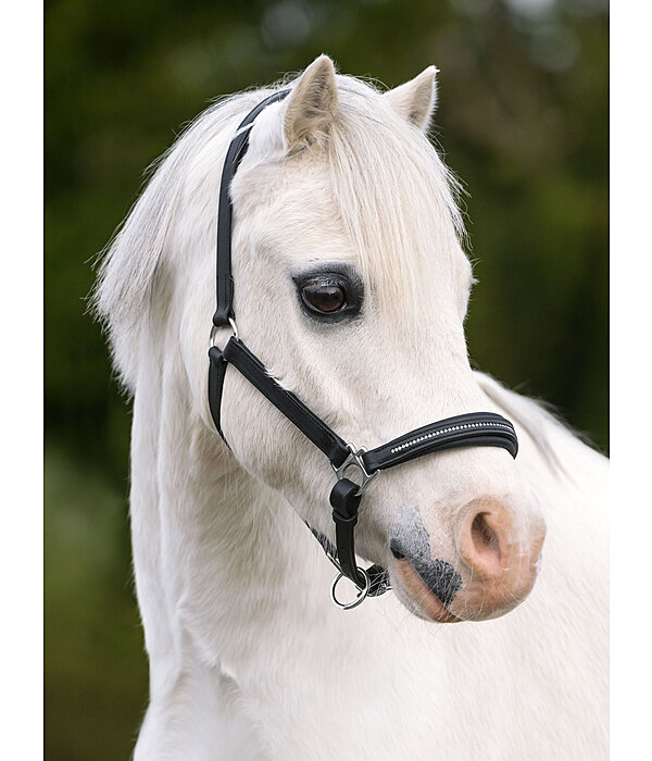 Foal and Shetland Leather Headcollar Selina with Rhinestones