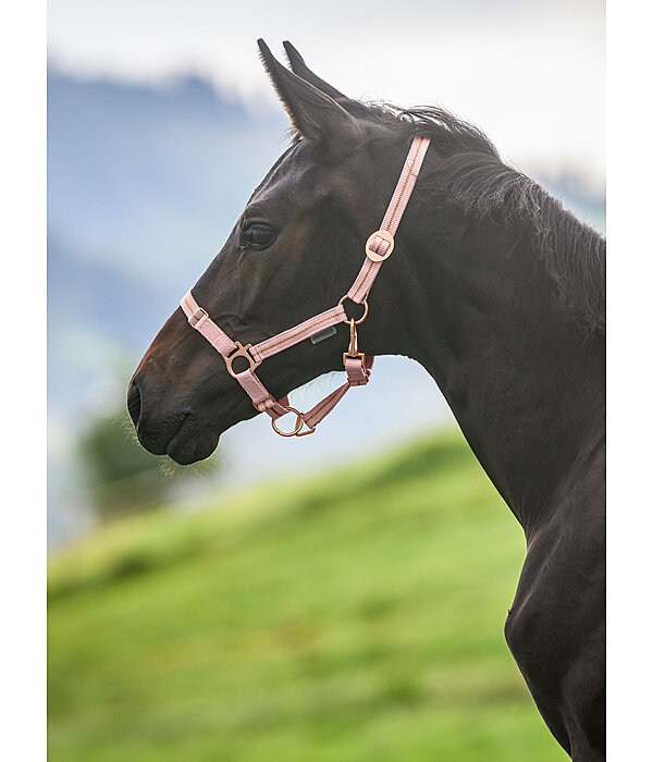 Foal and Shetland Pony Headcollar Shimmering
