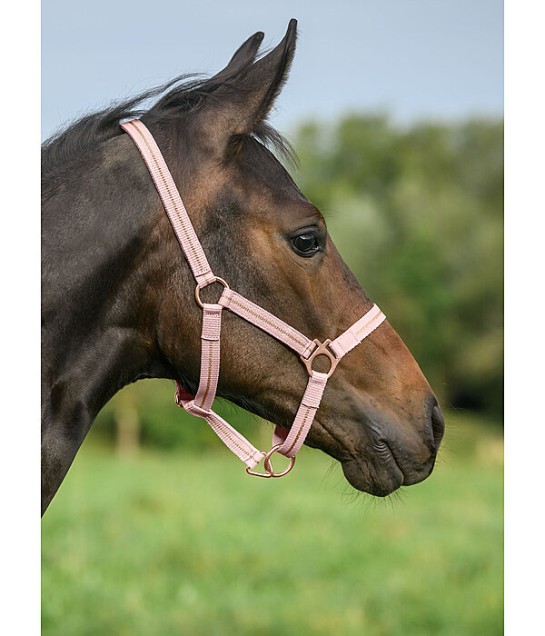 Foal and Shetland Pony Headcollar Shimmering