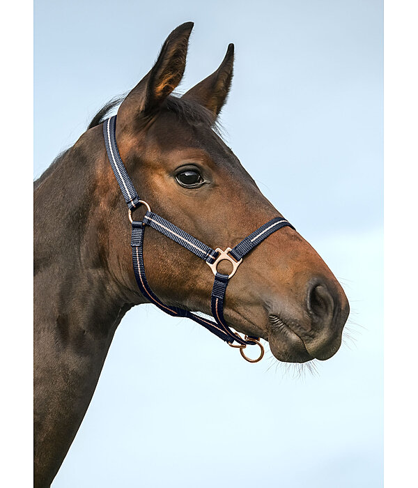 Foal and Shetland Pony Headcollar Shimmering
