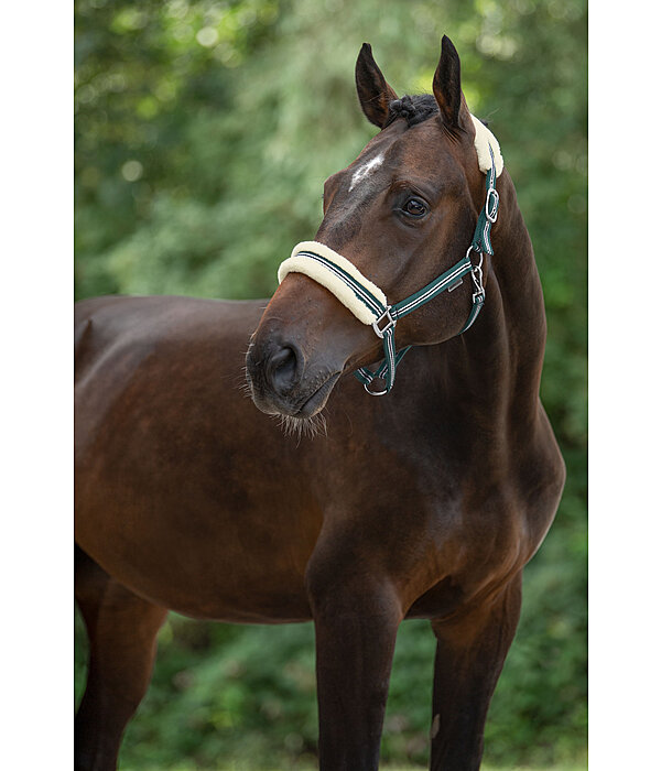 Headcollar Shimmering Stripes