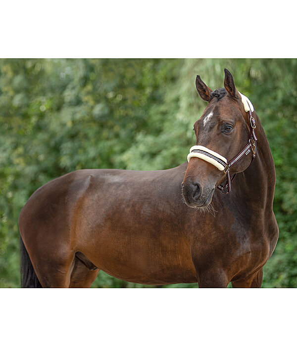 Headcollar Shimmering Stripes