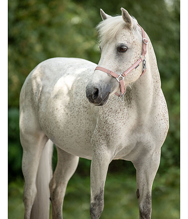 Foal and Shetland Pony Headcollar Crystal Chain