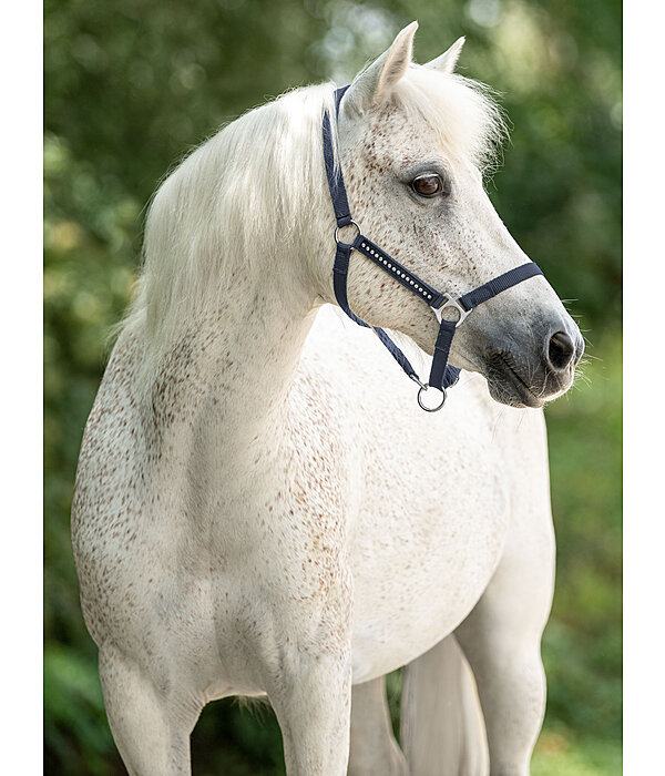 Foal and Shetland Pony Headcollar Crystal Chain