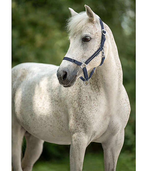 Foal and Shetland Pony Headcollar Crystal Chain