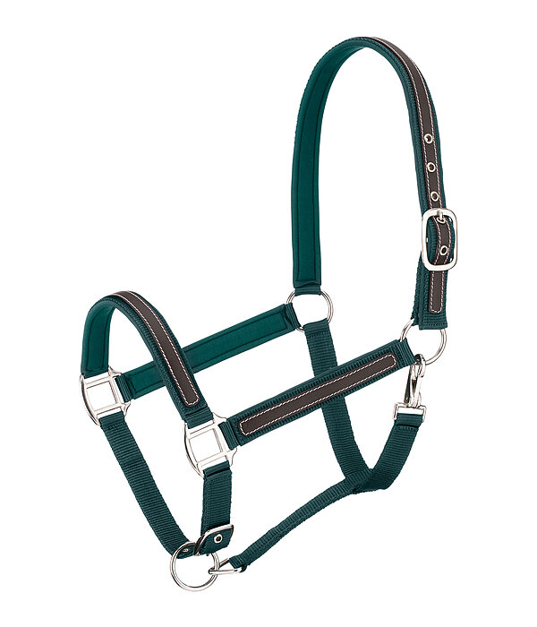 Headcollar Charles