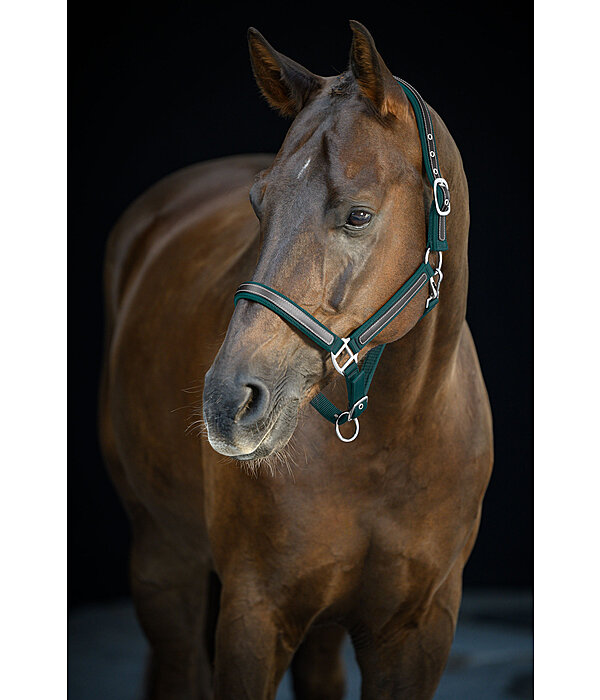 Headcollar Charles