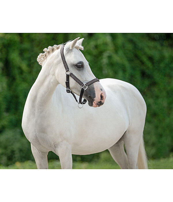 Foal and Shetland Pony Headcollar Twinkle