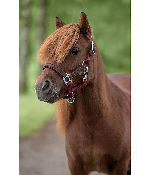 Foal and Shetland Pony Headcollar Twinkle