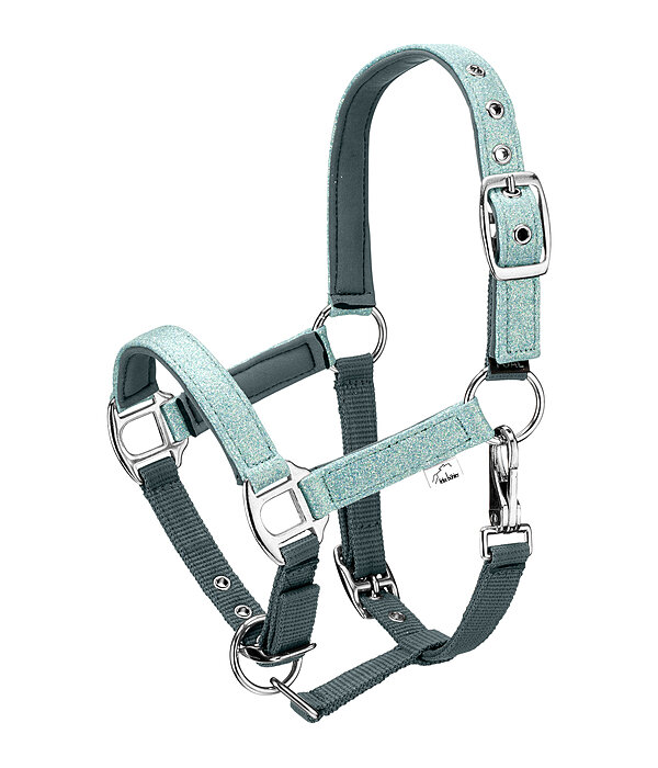 Foal and Shetland Pony Headcollar Twinkle