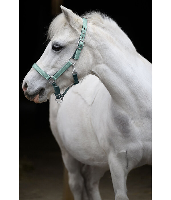Foal and Shetland Pony Headcollar Twinkle