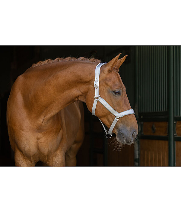 Headcollar Anatomical Relaxation