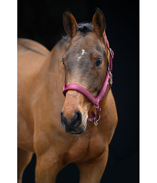 Headcollar Anatomical Relaxation