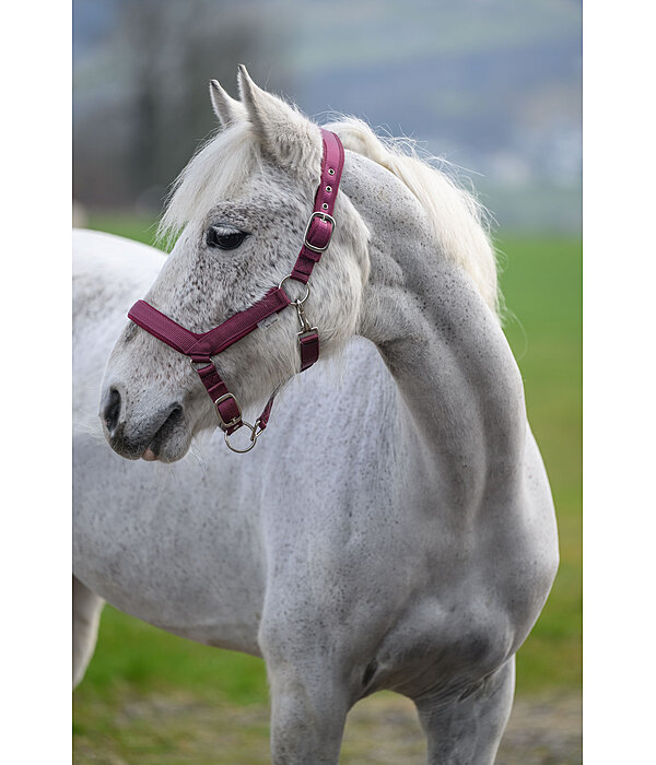 Headcollar Anatomical Relaxation