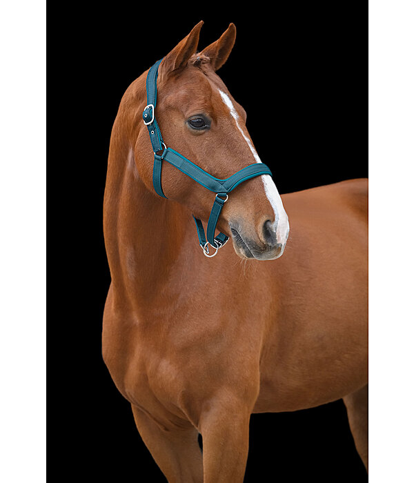 Headcollar Anatomical Relaxation