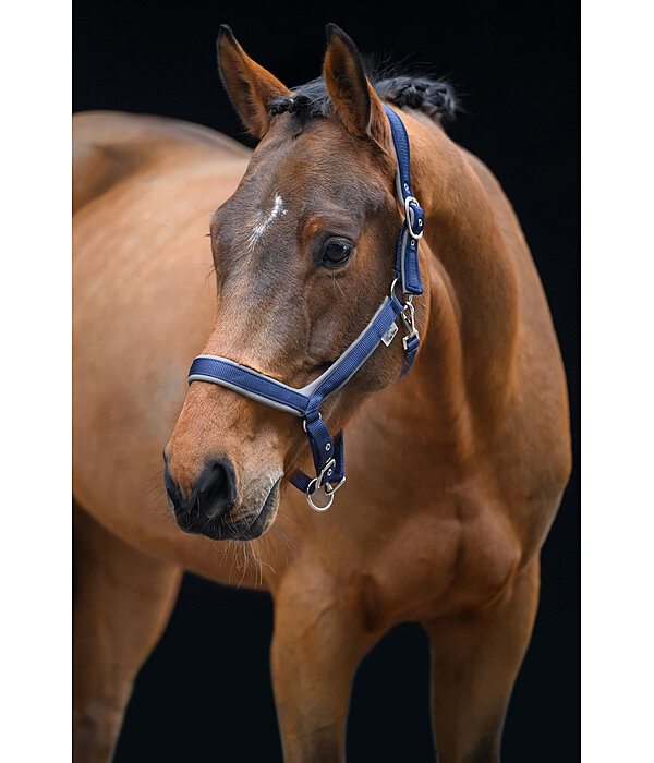 Headcollar Anatomical Relaxation