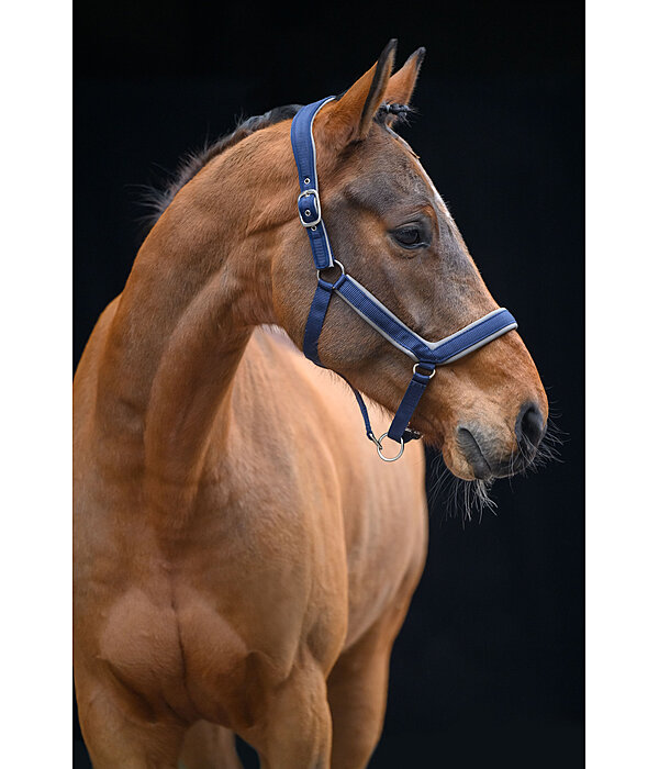 Headcollar Anatomical Relaxation