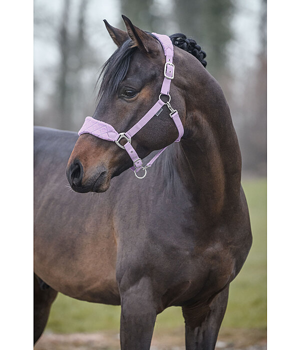 Headcollar Softy