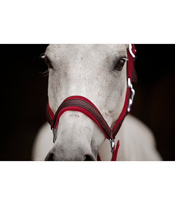 Headcollar Velvet Twinkle