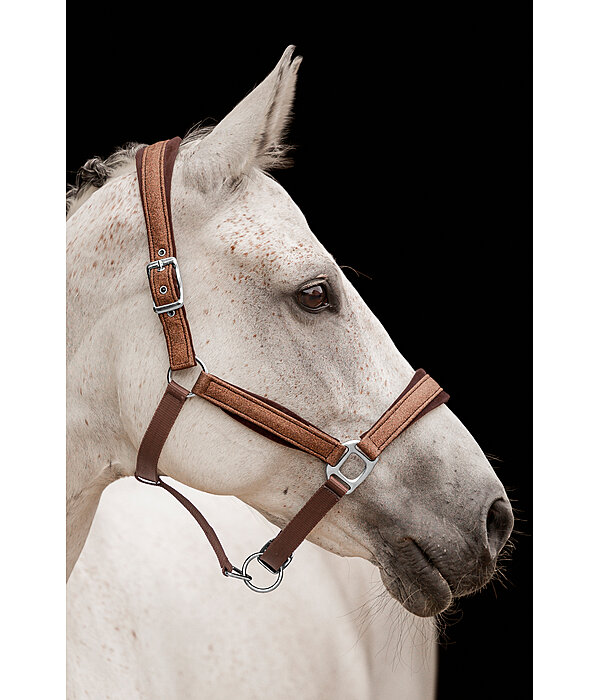 Headcollar Velvet Twinkle