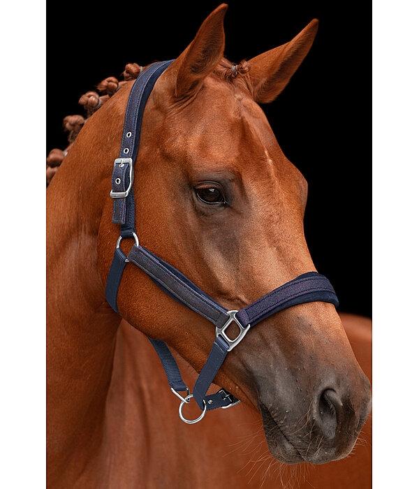 Headcollar Velvet Twinkle