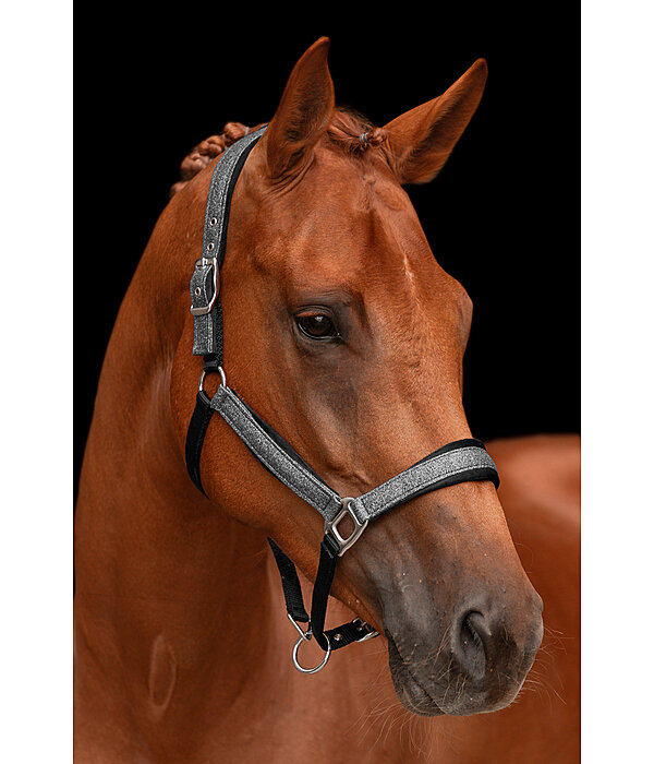 Headcollar Velvet Twinkle