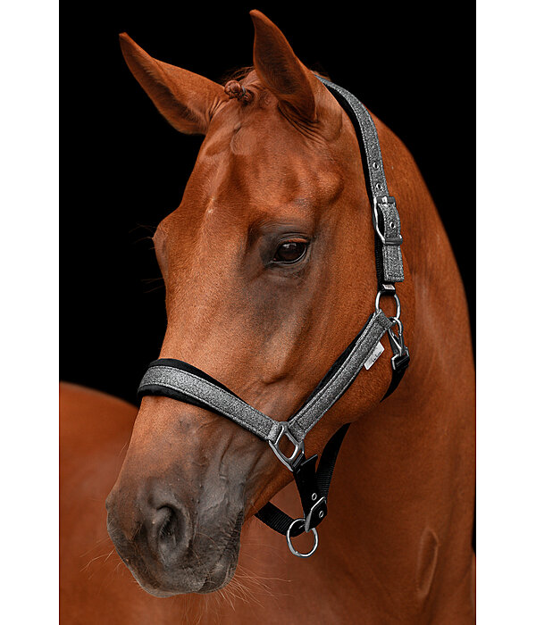 Headcollar Velvet Twinkle