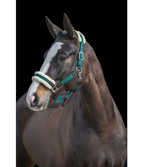 Headcollar Charlotte