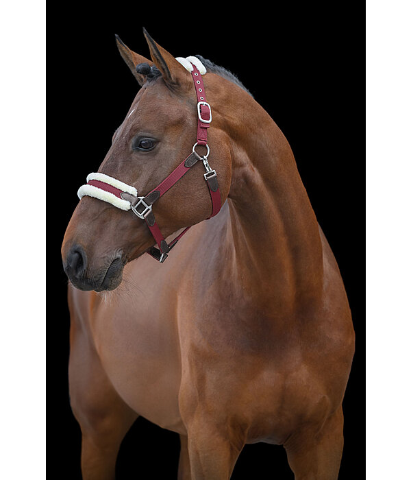 Headcollar Charlotte