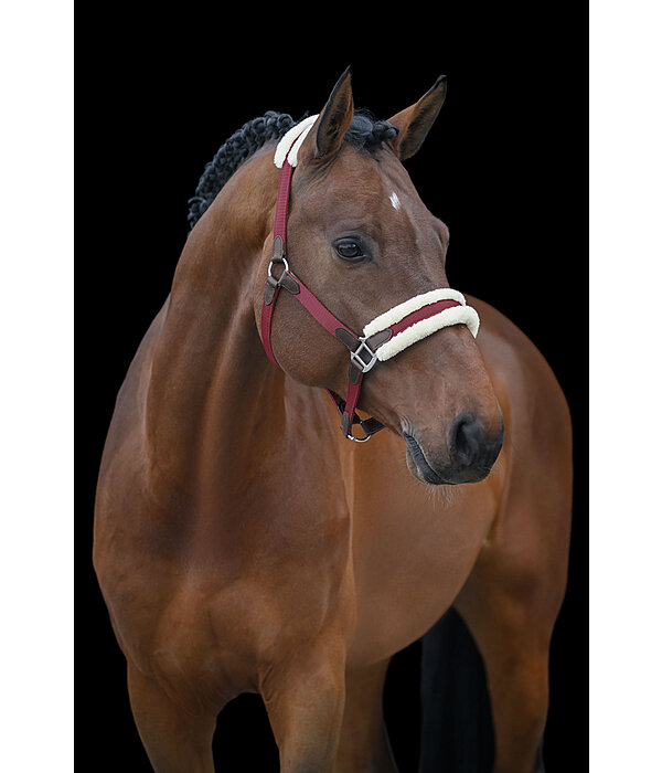 Headcollar Charlotte