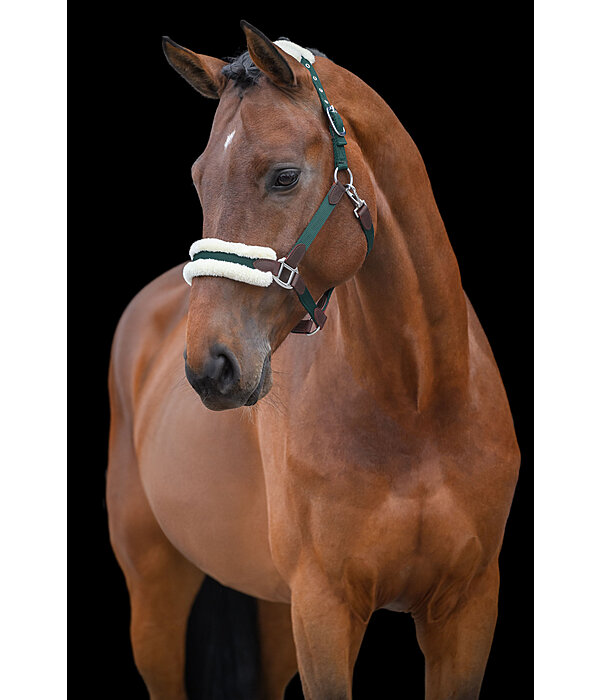 Headcollar Charlotte