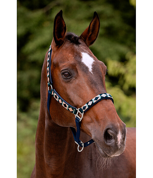 Headcollar Tricolour