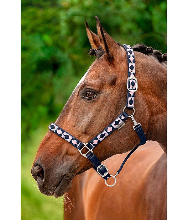 Headcollar Tricolour