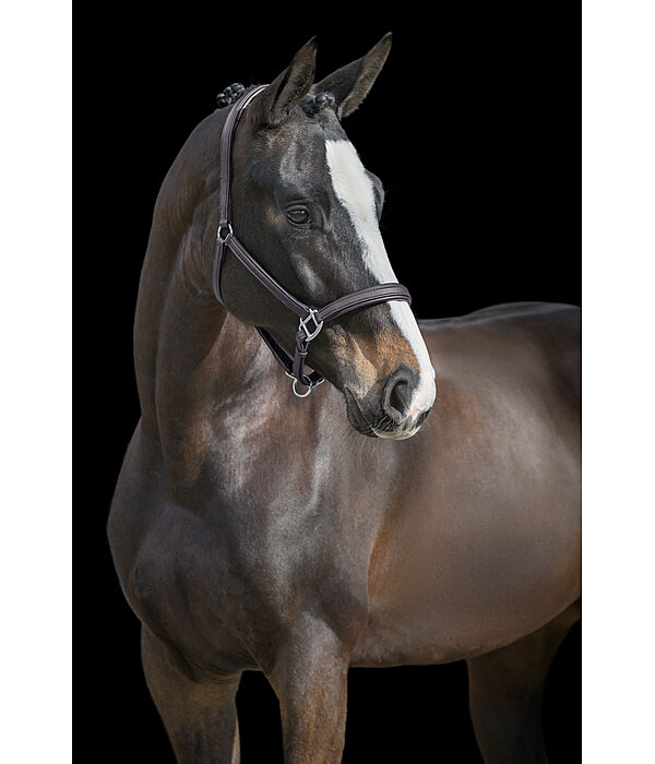 SYLKA Synthetic Leather Headcollar Animal Friendly