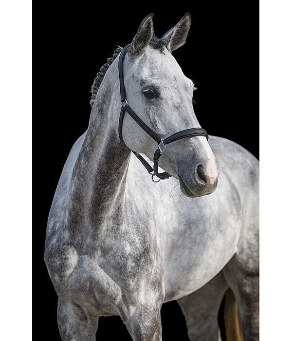 SYLKA Synthetic Leather Headcollar Animal Friendly