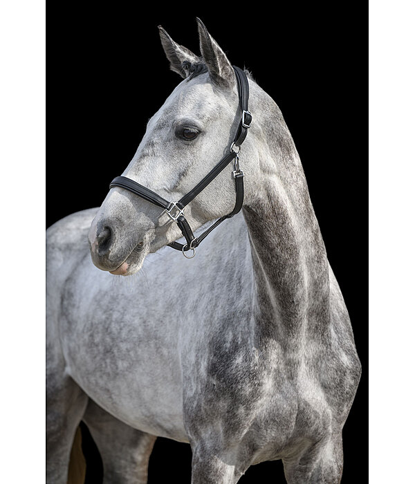 SYLKA Synthetic Leather Headcollar Animal Friendly