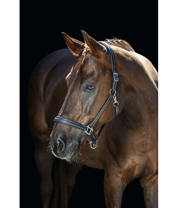 Leather Headcollar Stitch