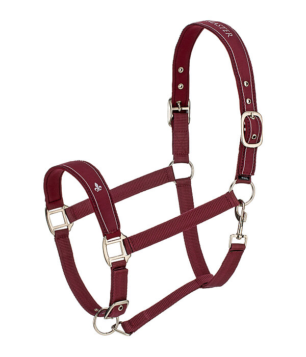 Headcollar Cloud