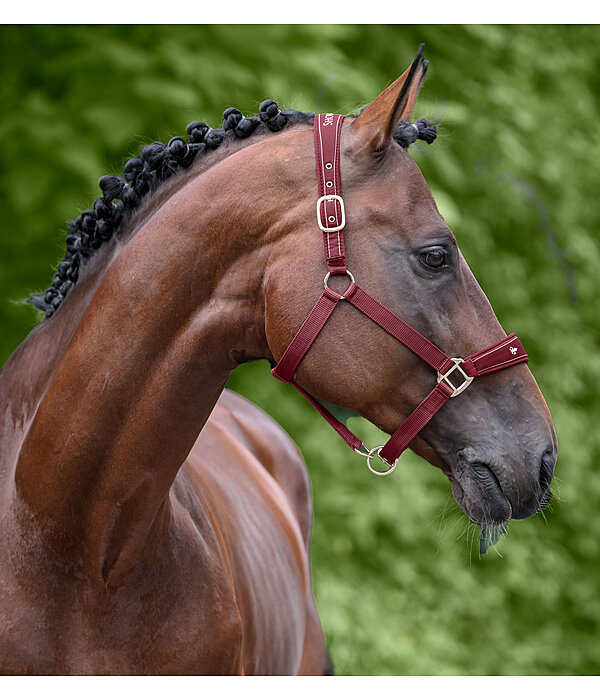 Headcollar Cloud