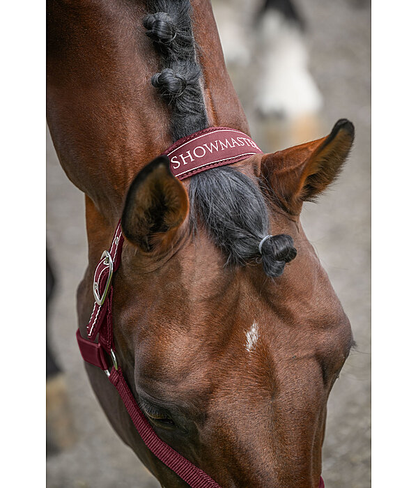Headcollar Cloud