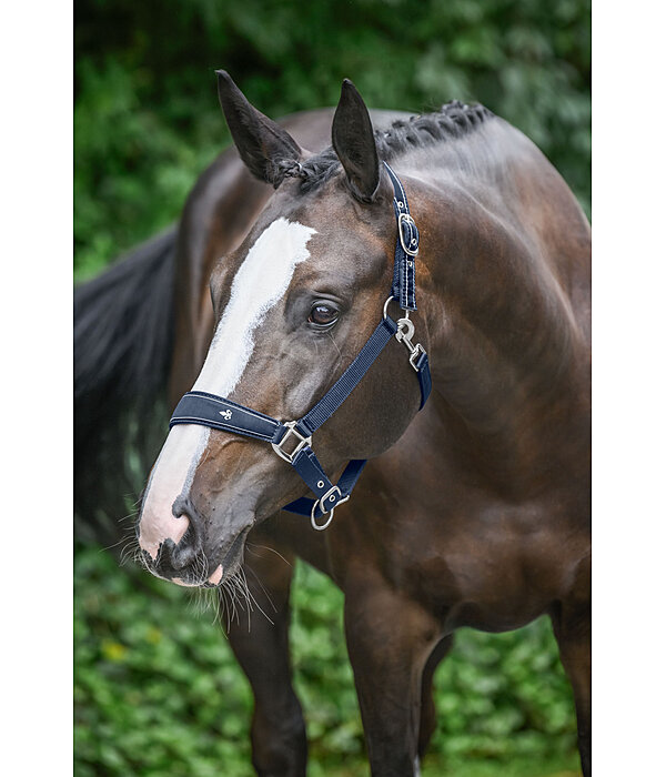 Headcollar Cloud