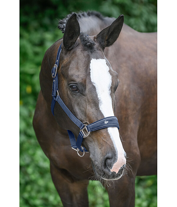 Headcollar Cloud