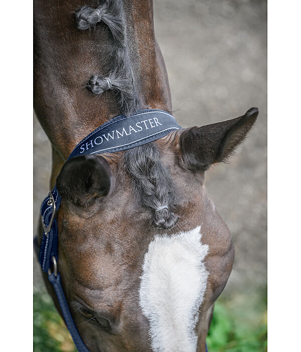 Headcollar Cloud